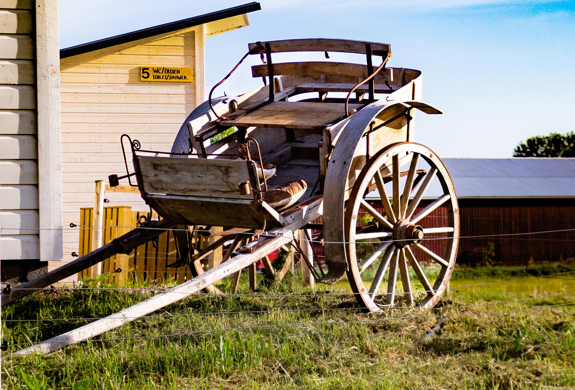 Vagn